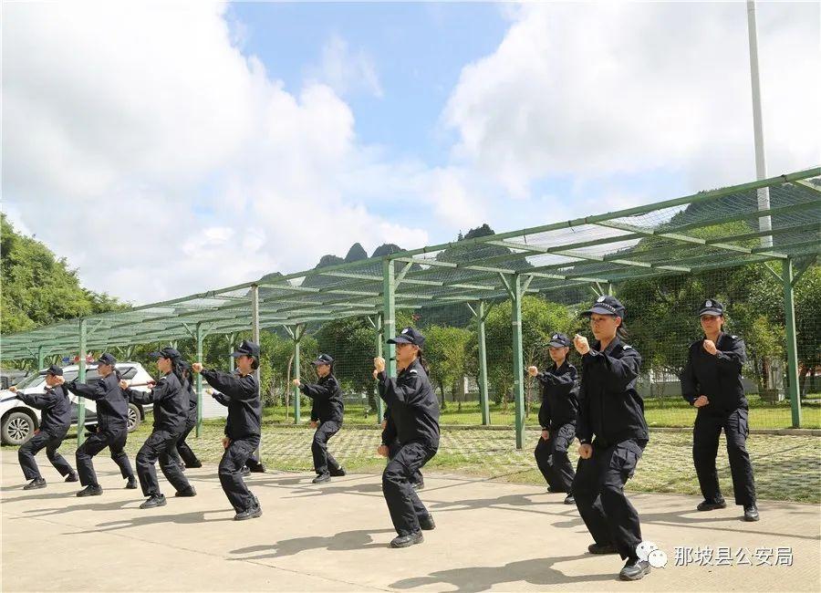 那坡镇最新招聘信息全面解析